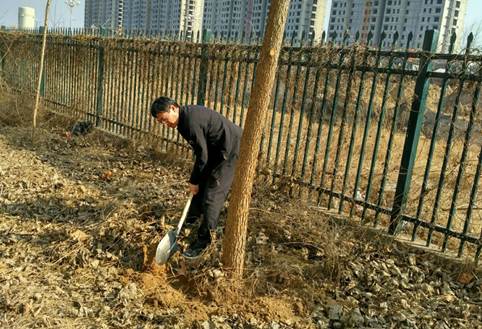 说明: C:\Users\Administrator\Desktop\5+N\植树浇水\新建文件夹IMG_20180312_153320_HDR.jpg